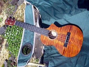 IMG_1815_R1