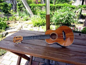 IMG_Gstrings2_R