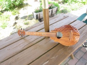 IMG_KOALAHA2_R
